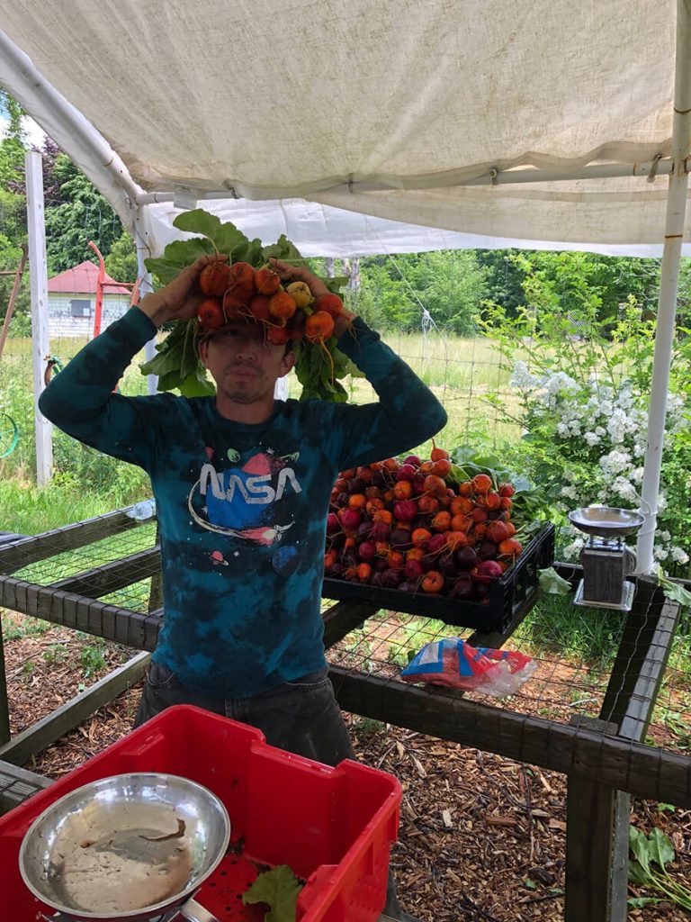 Early Girl Farm Gallery