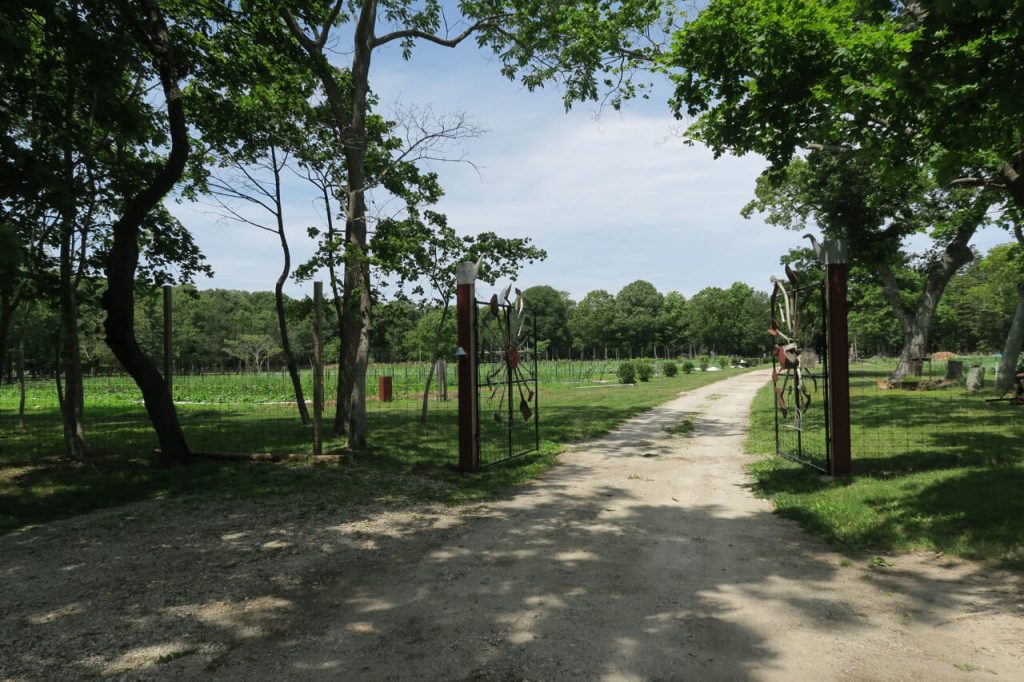 Early Girl Farm Gallery