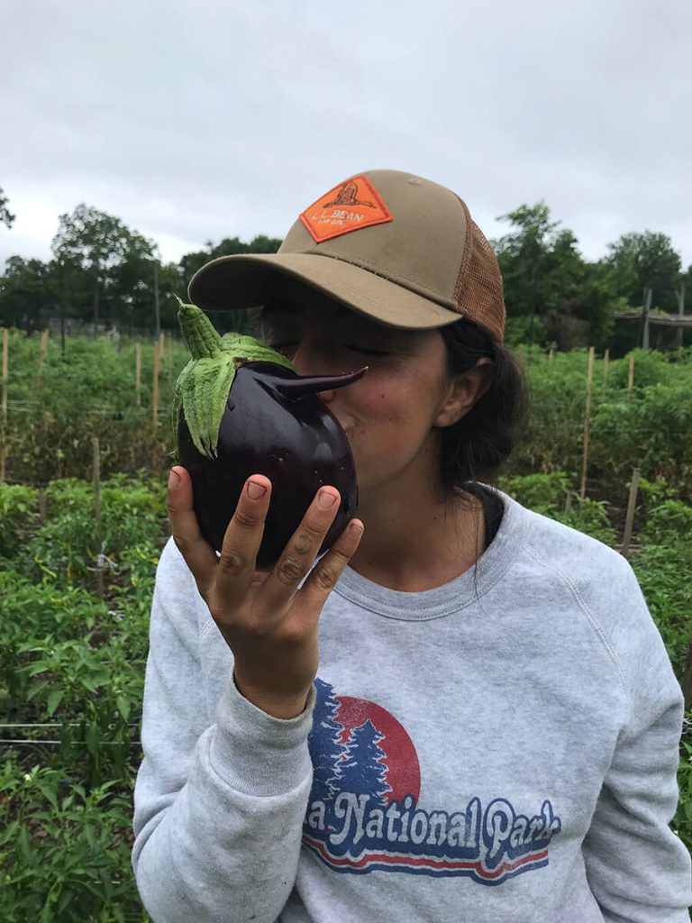 Early Girl Farm Gallery