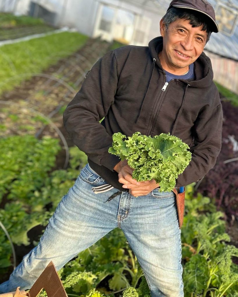 Early Girl Farm Gallery